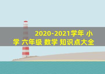 2020-2021学年 小学 六年级 数学 知识点大全